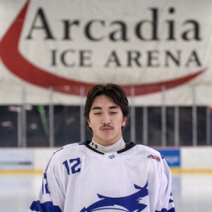 player headshot
