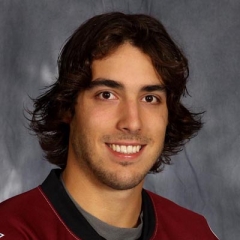 Mathieu Perreault