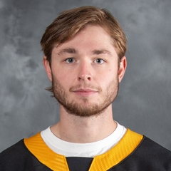 Filip Larsson Stats And Player Profile Theahl Com The American Hockey League