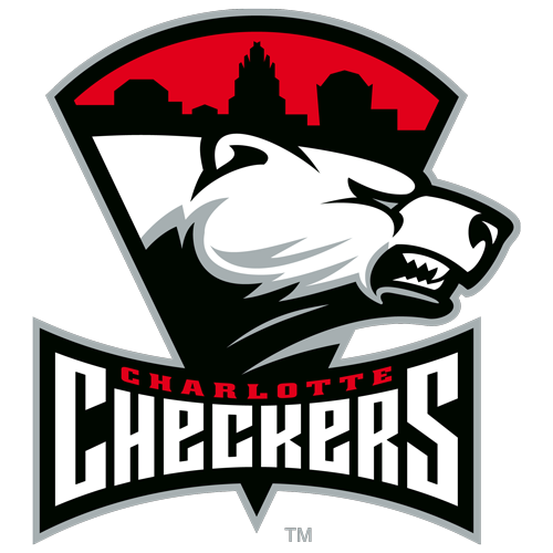 Checkers Raise $347,238 for the Community in 2022-23 - Charlotte Checkers  Hockey 