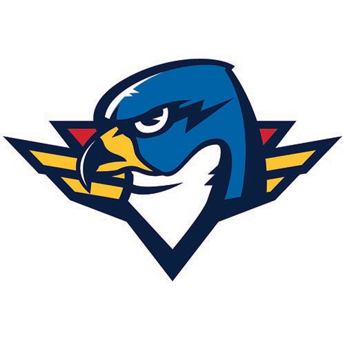 Springfield names new AHL team Thunderbirds —