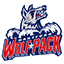 Hartford Wolf Pack