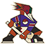 Tucson Roadrunners