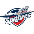 Spitfires