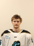 Cameron Whitehead