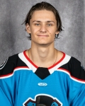 Artemiy Kuznetsov