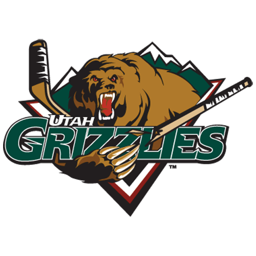 Utah grizzlies hot sale hockey jersey