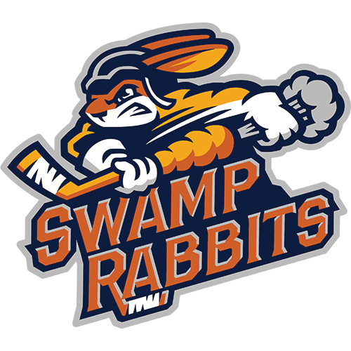 Collectors Souvenir Hockey Puck New York Rangers ECHL Greenville Swamp Rabbits 