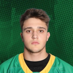 https://assets.leaguestat.com/hockeyalberta/240x240/4544.jpg