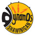 Dynamos