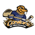 Castors