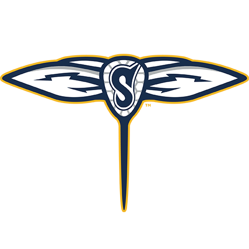 Georgia Swarm Logo