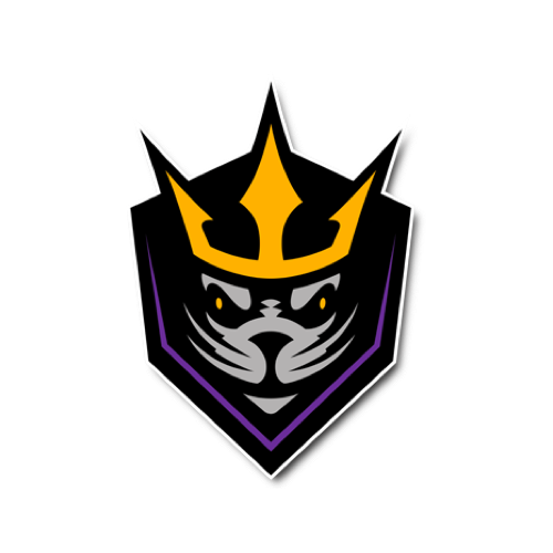 Panther City Team logo