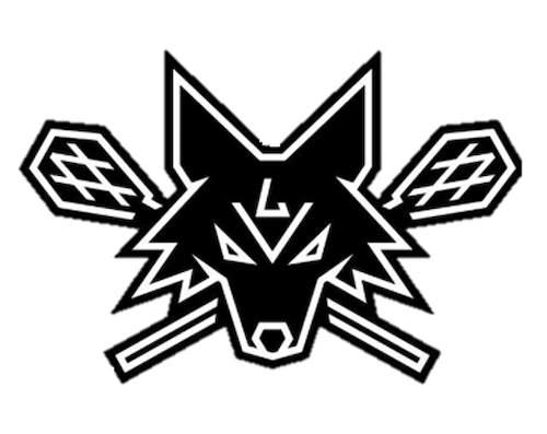 Panther City Team logo