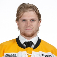 Men OHL Erie Otters Hockey Jersey Connor McDavid ALEX DeBRINCAT Taylor  Raddysh DYLAN STROME TRAVIS DERMOTT Custom Any Name And Number Jerseys From  32,86 €