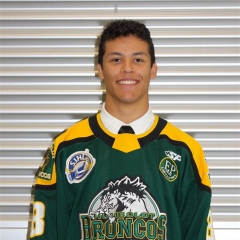 Rhett Gibson Stats and Player Profile  Saskatchewan Junior Hockey League  (SJHL)