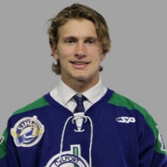 Rhett Gibson Stats and Player Profile  Saskatchewan Junior Hockey League  (SJHL)